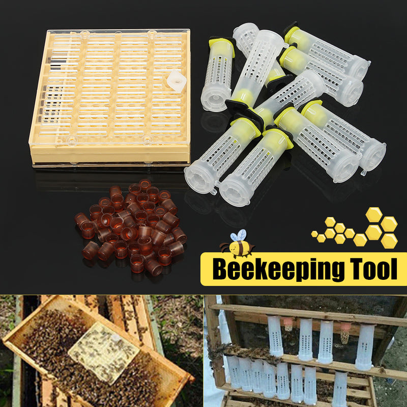 Bee Queen Rearing Cell Cupkit Box Case For Cupularve System Beekeeping Tools Set