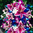 Egrow 100 PCS Perfume Liliy Seeds Cheap Perfume Lilies Seeds, Rare Color Flower Garden Plant