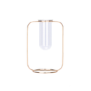 Hydroponic Plants Flower Wrought Iron Vase Decoration Transparent Glass Test Tube Hydroponic Dried Flower Stand