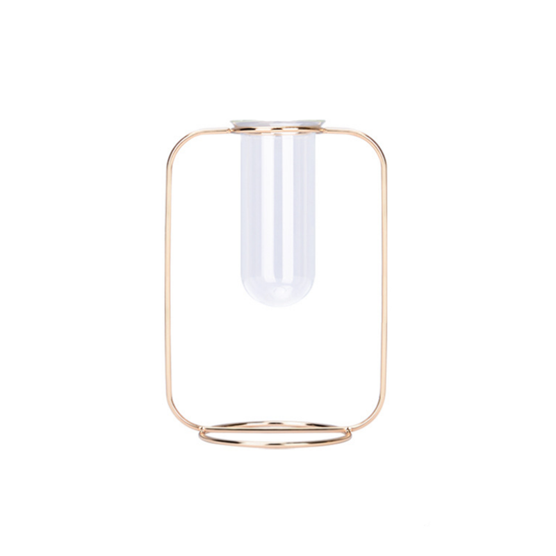 Hydroponic Plants Flower Wrought Iron Vase Decoration Transparent Glass Test Tube Hydroponic Dried Flower Stand