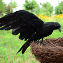 Realistic Looking Halloween Decorations Birds Black Feathered Detachable Crow