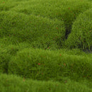 Synthetic Grass Faux Artificial Moss Linchen Turf Plant Lawn Patio Garden Decorations
