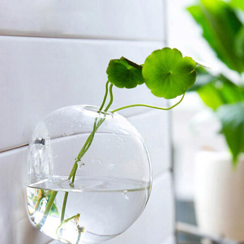 Creative Wall Hanging Transparent Glass Vase Hydroponic Living Room Home Decor