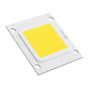 20W/30W/50W Warm White/White 3000K / 6000K LED Flood Light COB Light Led Chip DC30-34V