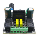 DC 12V 50W +50W TPA3116D2 High Power Digital Audio Amplifier Board