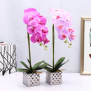 Artificial Plant Butterfly Orchid Flower Pot Home Wedding Party Home Decorations