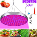 50W Full Spectrum LED Grow Light Panel Growing Lamp Hydroponics Indoor Flow