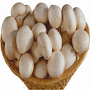 Egrow 50 Pcs/Pack Edible Health Mushrooom Seeds Orangic Vegetable Plants Seeds