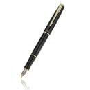 Hero 5020 Metal Fountain Pen for Calligraphy Writing Business Gift Office School Supplies
