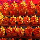 Egrow 10Pcs/Bag Gold Berry Bonsai Seeds Abiu Flores Caimito Garden Potted Plantas Vegetable Plant The Budding Rate 90%