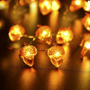 LED Acorn Light String 20 Acorn Light, 2M Light String, with Remote Control T6Y1
