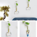 Irregular Wall Hanging Glass Planter Air Plant Terrarium Flower Pots Vase