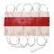10 Pieces 5050 SMD 30 LED Module Rigid Strip String Light Multi-Colors Waterproof DC 12V