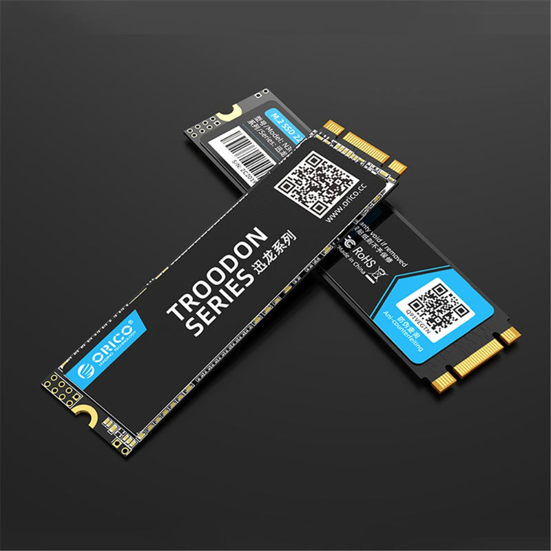 ORICO TROODON N300 Series M.2 NGFF SATA 3.0 SSD Solid State Drive 3D NAND 128G 256G 512G 1T Hard Drive R/W at 560/516 MB/s