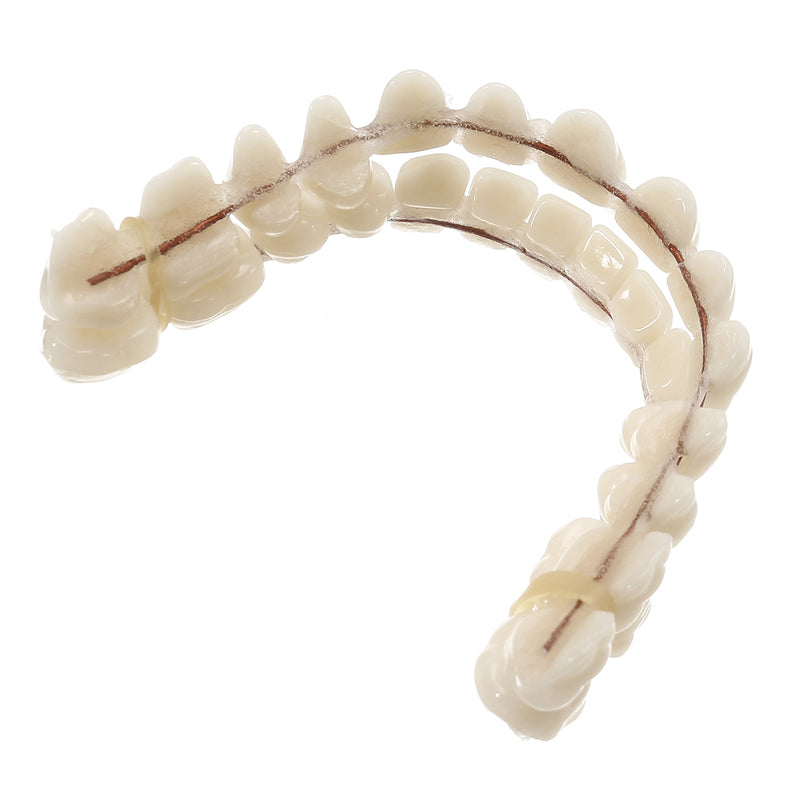 10Pcs Resin Teeth Durable Denture Anti Deformation And Anti Microcracking