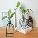 Glass Test Tube Flower Plant Pot Vases Fairy Hydroponic Vase Terrarium Container