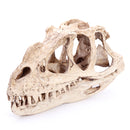 Resin Ceratosaurus Dinosaur Skull Fossil Model Collectible Craft Gift Decorations