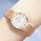 DOM G-32G Crystal Shell Surface Ladies Wrist Watch Stainless Steel Band Quartz Watch