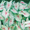 Egrow 100Pcs/Pack Colorful Janpanse Coleus Seeds Garden Foliage Plants Flowers Bonsai