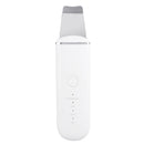 4 in 1 USB Charging Ultrasonic Vibration Ion Deep Cleaning Skin Scrubber EMS Pulse Peeling Shovel Facial Pore Cleaner