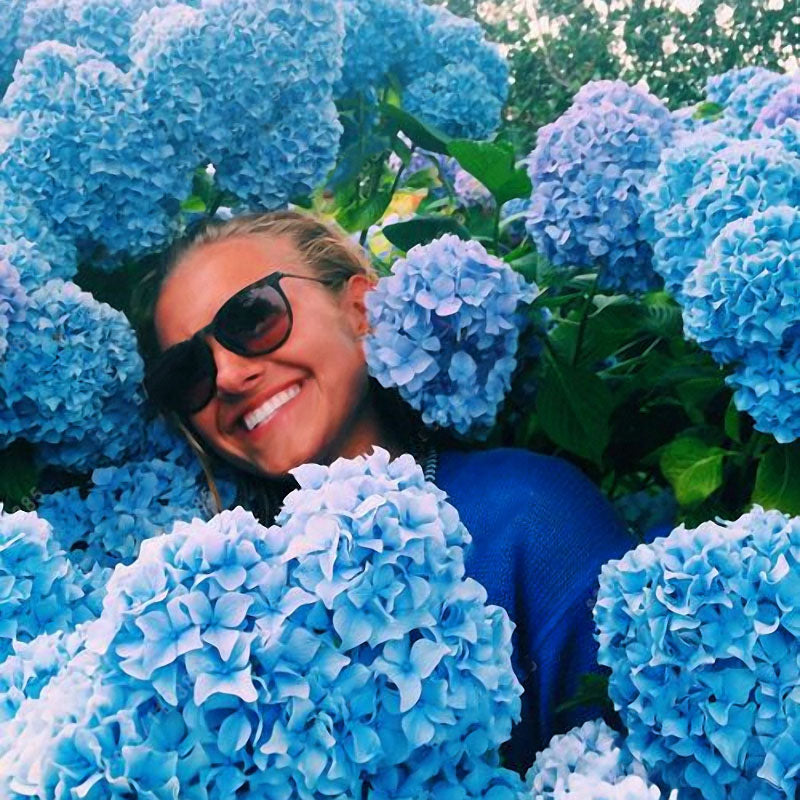 Egrow 20Pcs Hydrangea Flower Seed Vanilla Strawberry Seeds For Outdoor Home Planting Bonsai