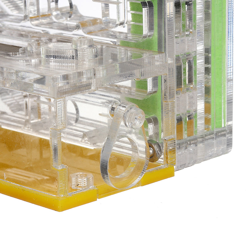 Acrylic Ant Feeding Nest Moisturizing Ant Case WIth Tweezer