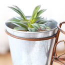 Iron Bicycle Plant Pot Stand Art Outdoor Indoor Garden Table Flower Rack Home Decorations
