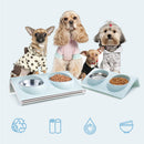 Oblique Design Anti-splash Stainless Steel Pet Cat Dog Double Feeding Bowl