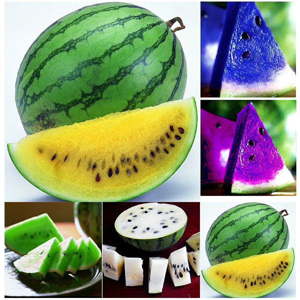 20Pcs Watermelon Multi-color Flesh Magic Garden Seeds Summer Cool Fruit Garden Farm Landscape