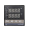 Excellway REX-C100 110-240V 1300 Degree Digital PID Temperature Controller Kit with 400 Degree Probe