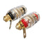 2pcs Amplifier Speaker Terminal Binding Post Banana Plug