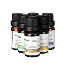 3pcs/6pcs 10ml Pure Natural Plant Extracts Essential Oils Set For Aromatherapy Diffusers Humidifier Air Lavender Tea Tree Lemongrass Rosemary Essential Oil