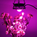 60W 144 LED COB Grow Light Full Spectrum 380-800nm Hydroponic Veg Plant Lamp