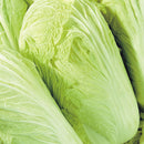 100Pcs Chinese Delicious Cabbage Seeds Nutritious Green Vegetable Seeds Brassica Plants Garden