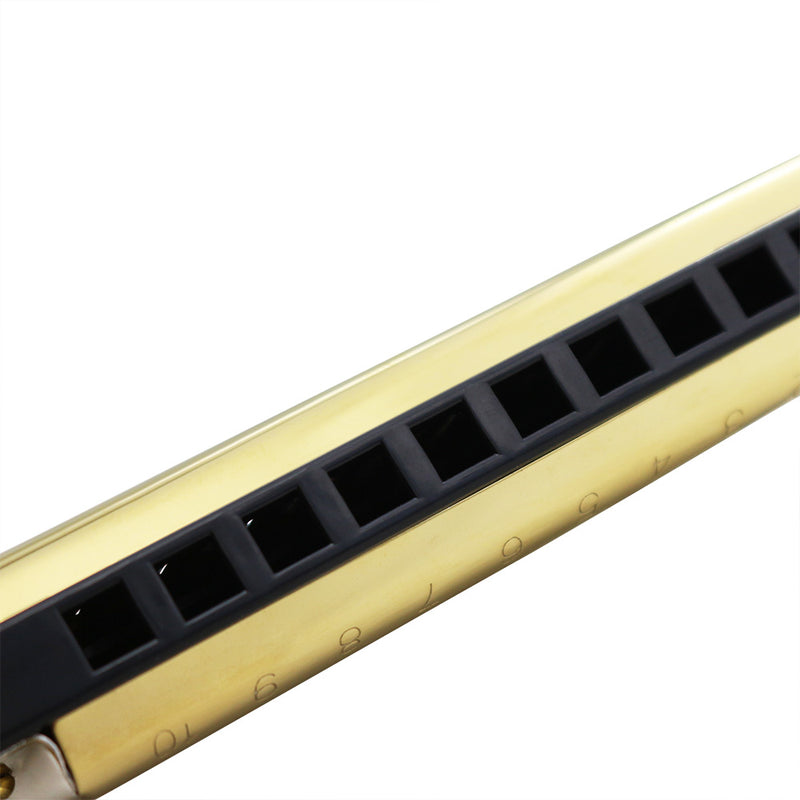 IRIN 10 Hole 20 Tones C Key Blues Harmonica Musical Instrument