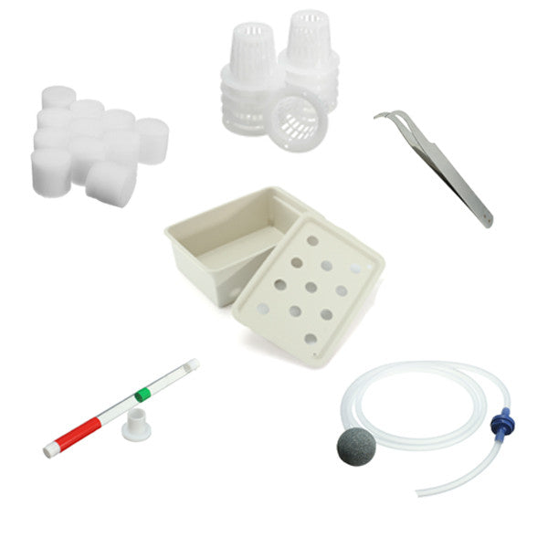 Oxygen Mini 11 Hole Water Culture Seedling Boxes Soilless Cultivation Planting Boxes