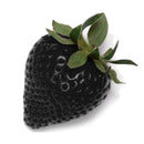 500Pcs Black Strawberry Seeds Garden Fruit Seeds Heirloom Super Strawberry Garden Seeds Climbing