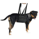 Dog Waist Harness Gog Harness Pet Protection Belt Nylon Clasp Protecting Waist Belt Sport Running Leash Pet Dogs Product