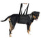 Dog Waist Harness Gog Harness Pet Protection Belt Nylon Clasp Protecting Waist Belt Sport Running Leash Pet Dogs Product