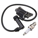 Ignition Coil For Robin 277-79431-11 SP170 SP210 Robin EX13 EX17 EX21