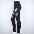 Women Four Seasons Sport Yoga Sexy Pants Leggings Openwork Perspective Stitching Fitness Gym