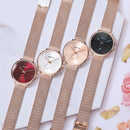 GIMTO GM270 Simple Two-pin Design Dial Rose Gold Mesh Steel Strap Fashion Women Quartz Watch