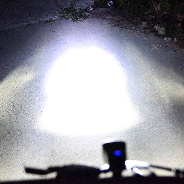 XANES SFL04 750LM T6 LED German Standard Smart Induction Bike Light IPX4 USB Rechargeable Large F