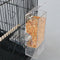 Automatic Smart Bird Feeders Starling Parrot Food Containers Transparent Pet Feeder Devices