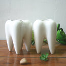 7x10cm Tooth Shape Flower Pot Succulent Plant Storage Ceramic Gardening Potted Creative Home Decor