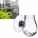 Aquarium Fish Tank Aquatic Plant Clear Glass Cup Holder + Sucker