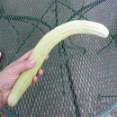 Egrow 50 Pcs/Bag Giant Long Green Cucumber Seeds Crisp Sweet Fruit Organic Vegetable Seed