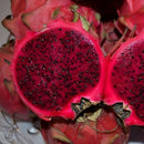 Egrow 50 Pcs/Pack Pitaya Seeds Red White Dragon Fruit Tree Seed for Outdoor Courtyard Plants