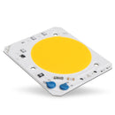 40W LED COB Chip Integrated Smart IC Driver for Flood Light AC110V / AC220V