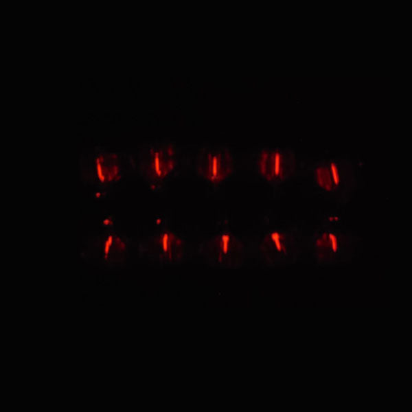 1.5x6mm Trit Vials Self-luminous 15-Years Diamond Heart Decoration